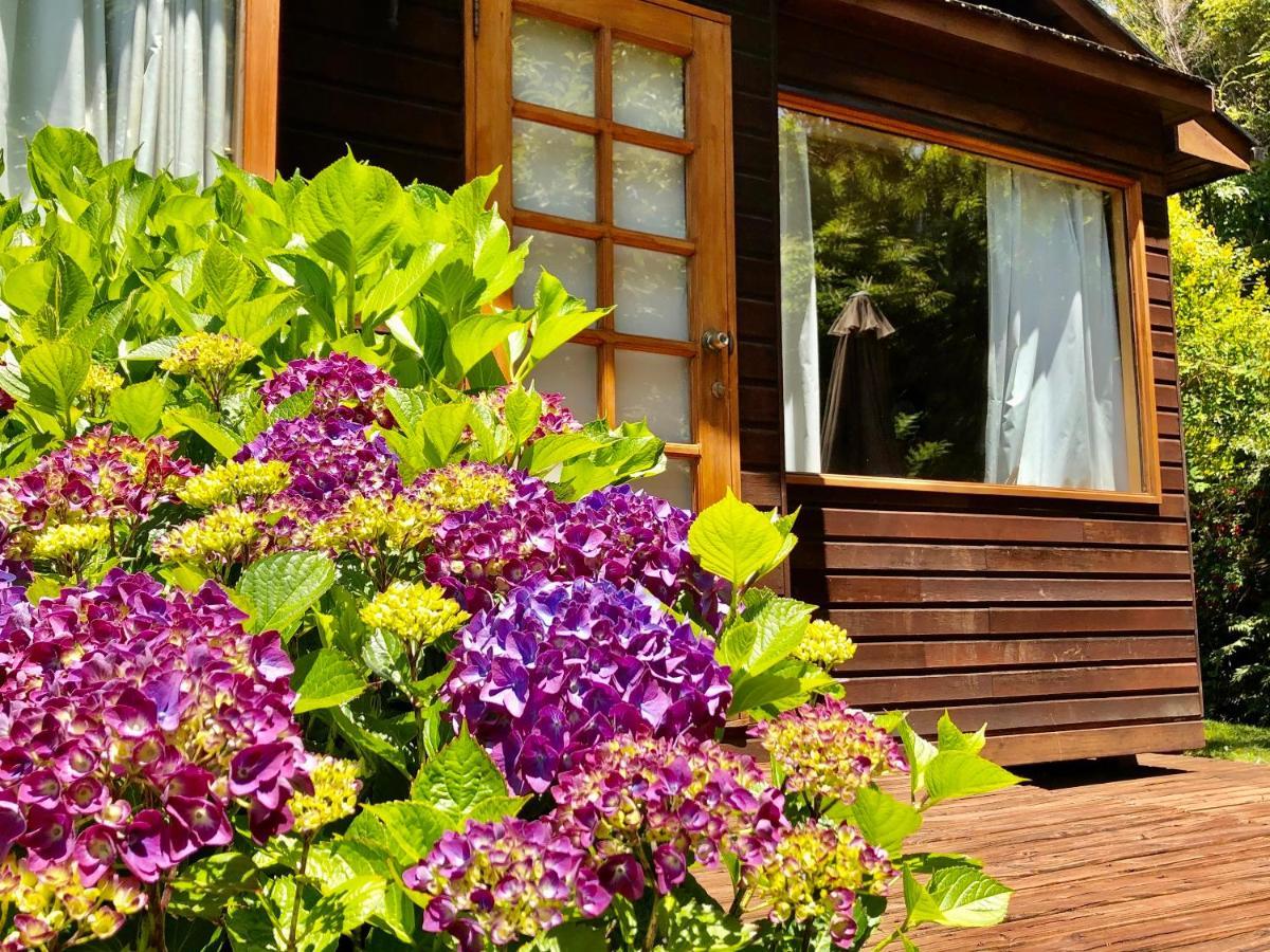 Cabanas Monte Verde Pucon Ngoại thất bức ảnh